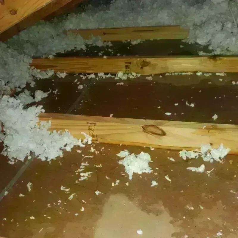 Attic Water Damage in Jamaica Plain, MA